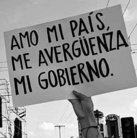 La vi me gustó y la coloqué.