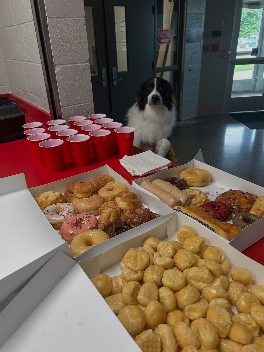 Nothing finishing off a great week of practices with national donut day and protein smoothies!
<a href="/Dragons_Swim/">New Pal Dragons Swim & Dive</a>
