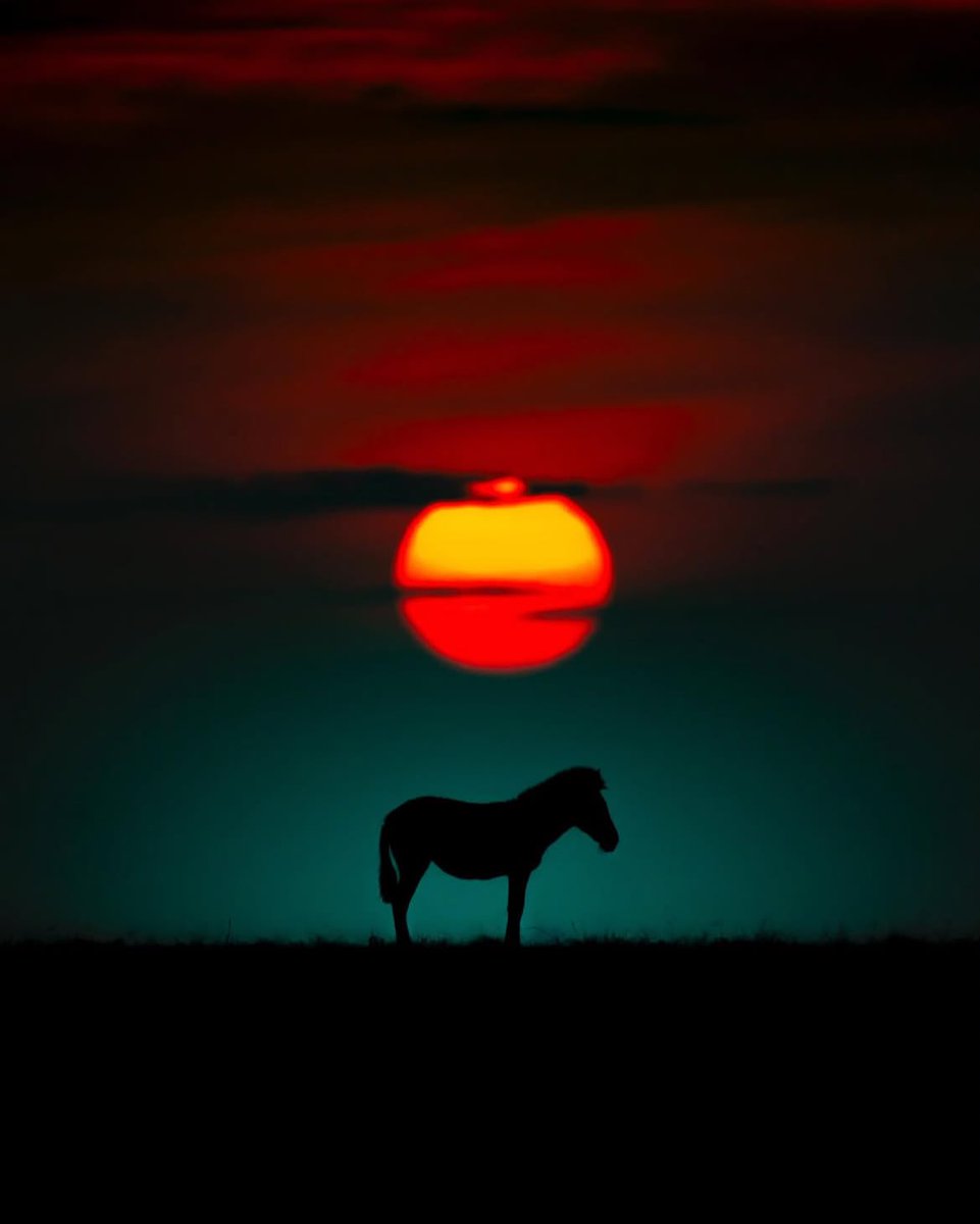 Maasai Mara, Kenya.