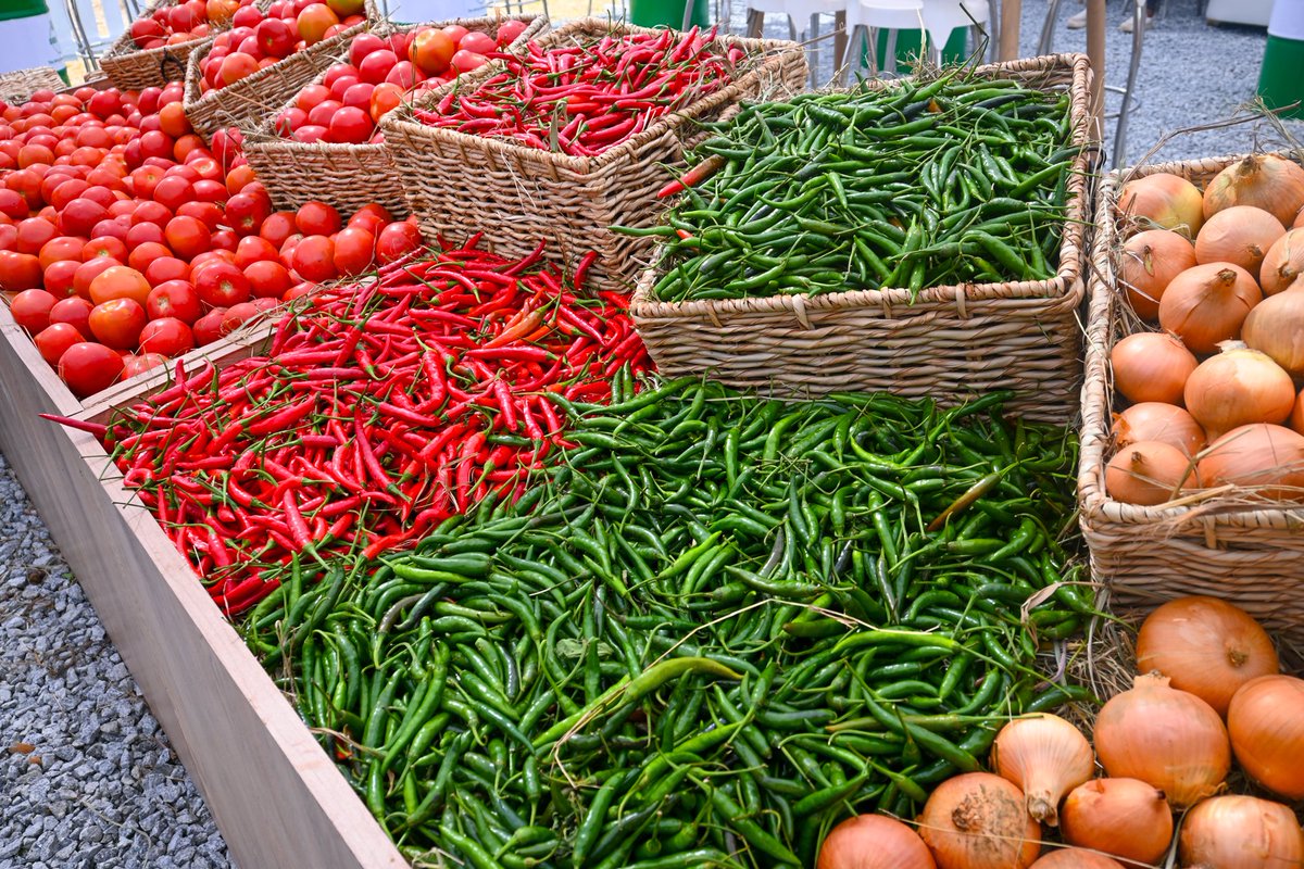 SeedCoVegZim's tweet image. ADMA Agric Show – Day 2 Highlights

Don’t miss out tomorrow! Join us for exciting discussions with our expert agronomists and explore our diverse displays, from field crops to vegetables.

#ItStartsWithTheRightSeed 
#seedcovegzim