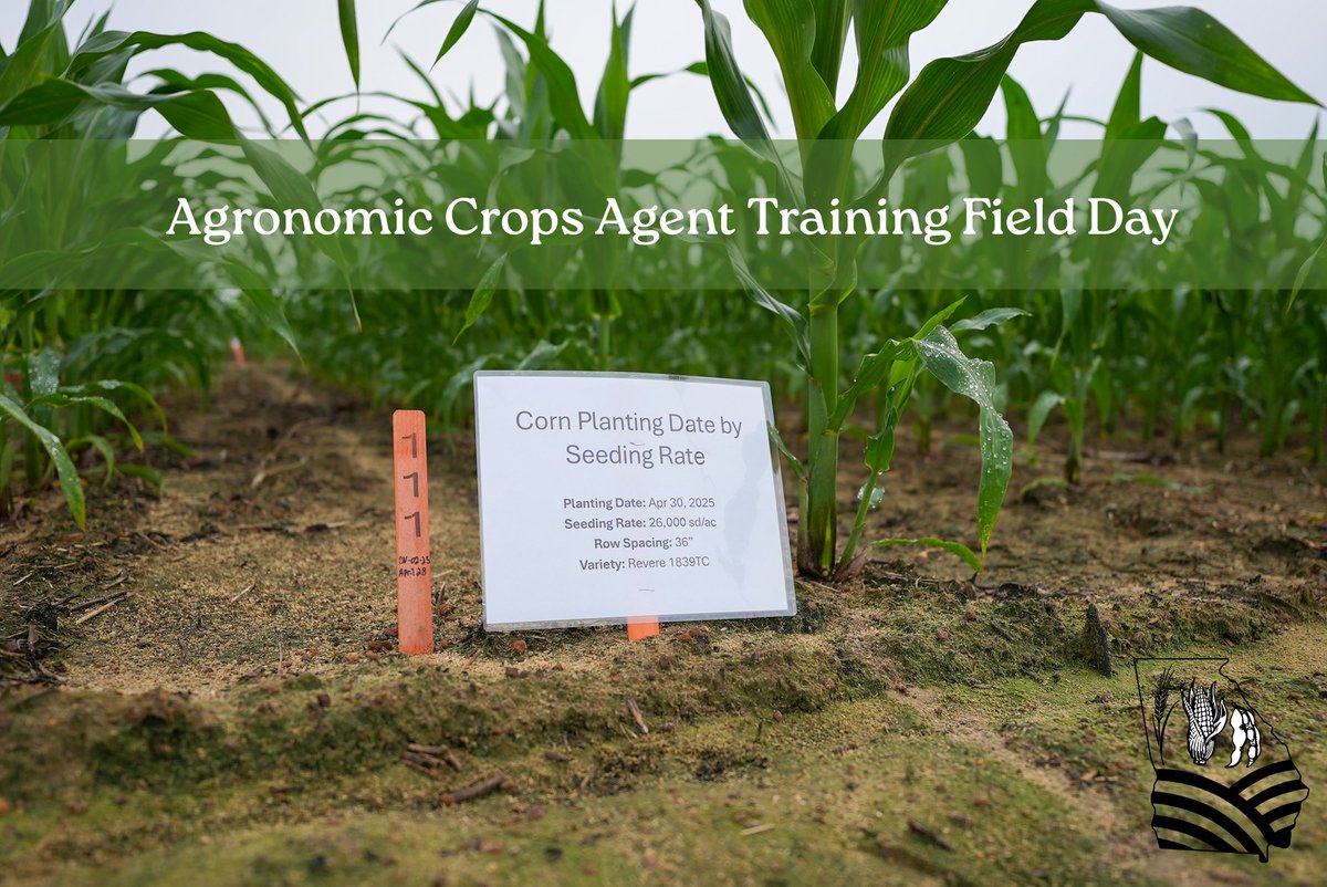 UGA_GrainsTeam's tweet photo. Yesterday, Dr. Shay had the opportunity of sharing some insight on corn and soybeans with the next generation of county agents. Proud to help grow the future of agriculture!
-
-
-
#ugatifton #georgiagrainsteam #georgiaagriculture https://t.co/Yzhr9S3PGF