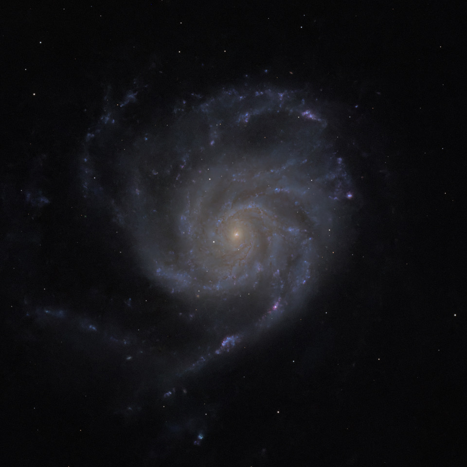 sj_astronomy's tweet photo. Member Richard Seely processed 18 minutes of data captured from his new William Optics Pleiades 181 telescope (congrats on first light!) of M101, the Pinwheel Galaxy, while at Rancho Cañada del Oro Open Space Preserve last month. https://t.co/bMznyJYSZn
