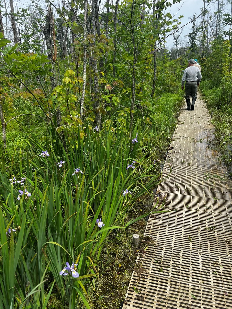 Duke Energy Indiana (@dukeenergyin) on Twitter photo Today, we were privileged to join <a href="/SycLandTrust/">Sycamore Land Trust</a> to celebrate the 30th anniversary of Beanblossom Bottoms Nature Preserve in Monroe County and to mark the completion of several trailhead enhancements funded by the Duke Energy Foundation. Today, we were privileged to join <a href="/SycLandTrust/">Sycamore Land Trust</a> to celebrate the 30th anniversary of Beanblossom Bottoms Nature Preserve in Monroe County and to mark the completion of several trailhead enhancements funded by the Duke Energy Foundation.