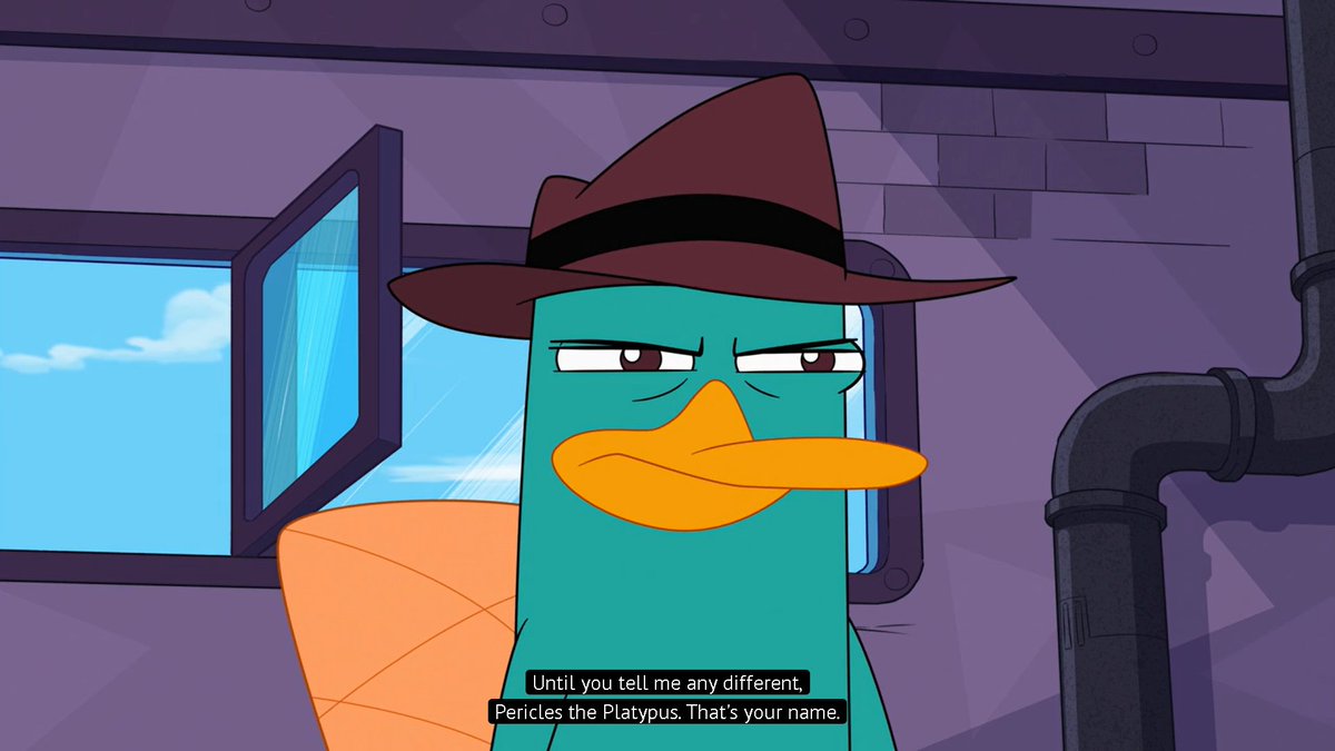 Looool Perry frowns at Heinz so often, as if he can't stand him anymore 🫣