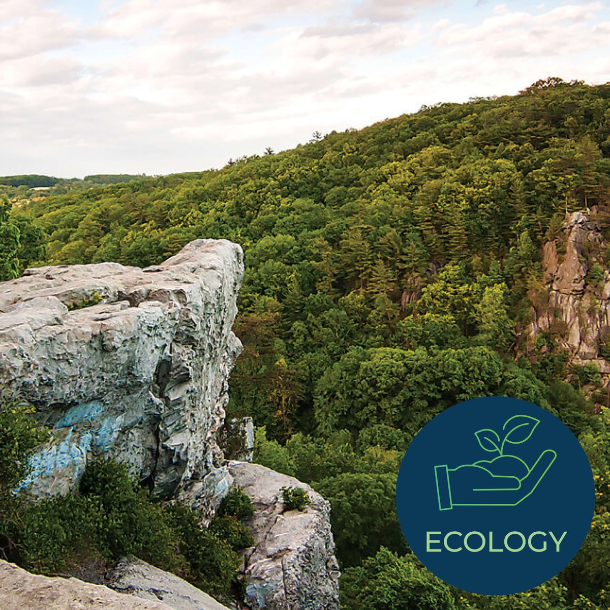 June 7th is #NationalTrailsDay! MD State Parks have 1,000+ miles of hiking, biking &amp; horseback riding trails &amp; 40 miles of the #AppalachianTrail. MD’s #SustainableGrowth #PlanningPrinciples support preservation of natural resources with responsible development. #Ecology #Land