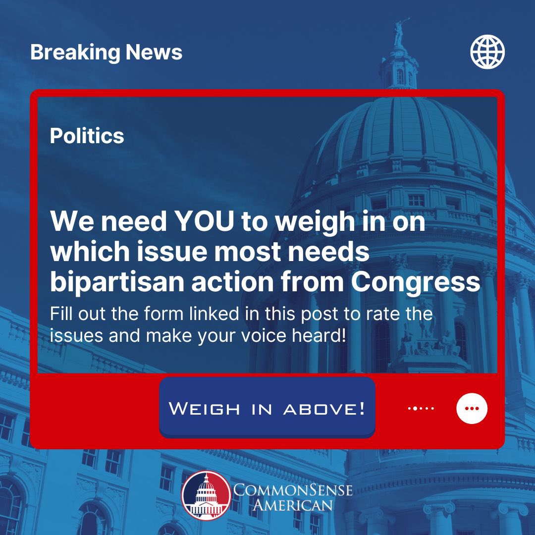 CommonSenseAmerican tweet media