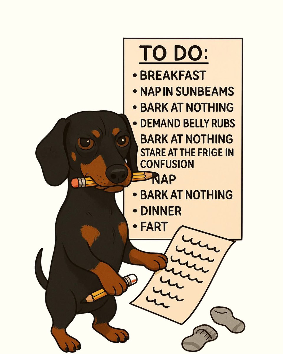 Brownie the Dachshund 🌈 (@browniethedach1) on Twitter photo 