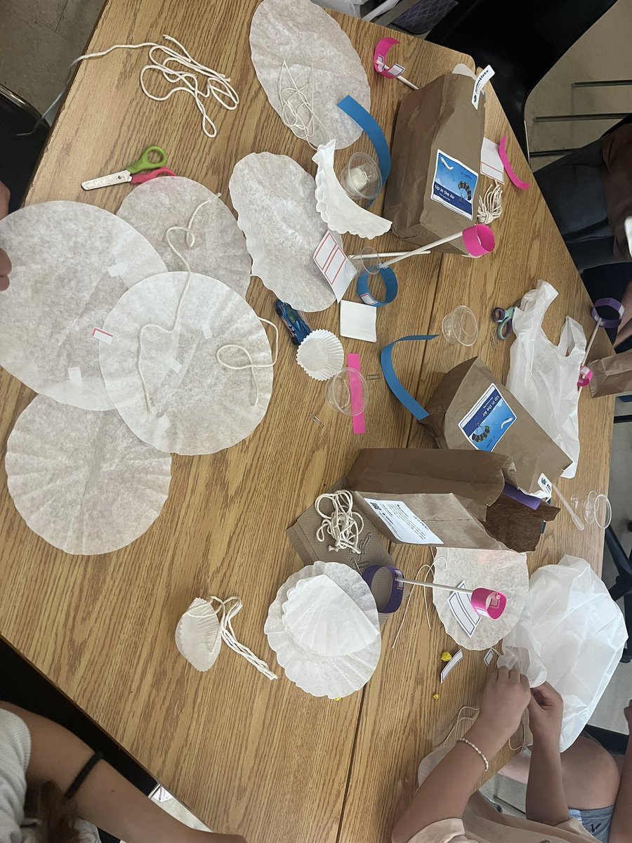 C. Rapa-Perri 🌻 tweet media