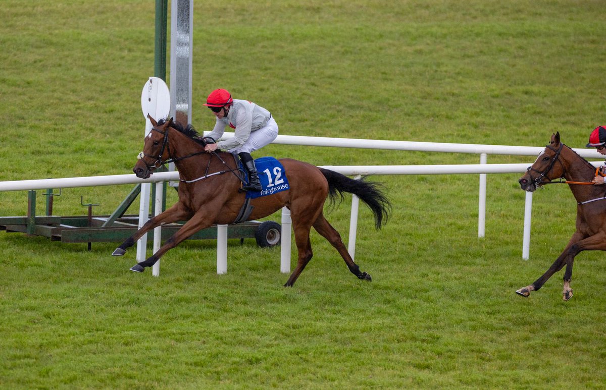 Fairyhouse's tweet image. It’s a double for jockey @garyfcarroll this evening at Fairyhouse as Dolce Far Niente wins the seventh race 💫