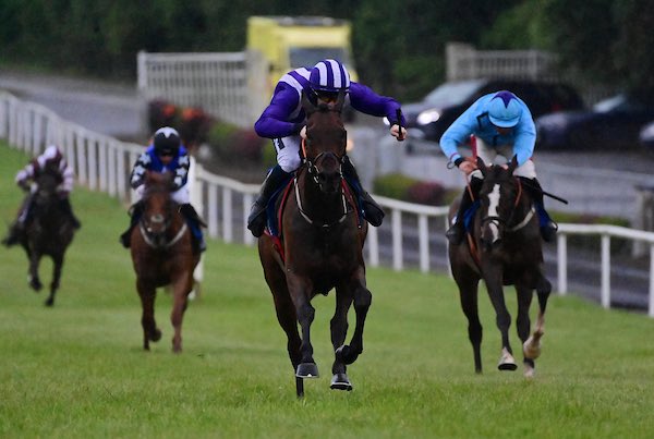 Stede Bonnet goes one better this evening, winning on his second start in <a href="/ClonmelR/">ClonmelRaces</a> by a comfortable 6 1/2L, ridden by <a href="/HarrySwan15/">Harry Swan</a> 

Congratulations to winning owners Agardsley Investment Limited 👏

📸 Healy Racing