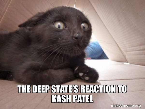 K_FromOz (@k_fromoz) on Twitter photo <a href="/joeroganhq/">Joe Rogan Podcast News</a> Kash Patel nailed his response "I know my lane and that is not it"
Bloody legend! <a href="/joeroganhq/">Joe Rogan Podcast News</a> Kash Patel nailed his response "I know my lane and that is not it"
Bloody legend!