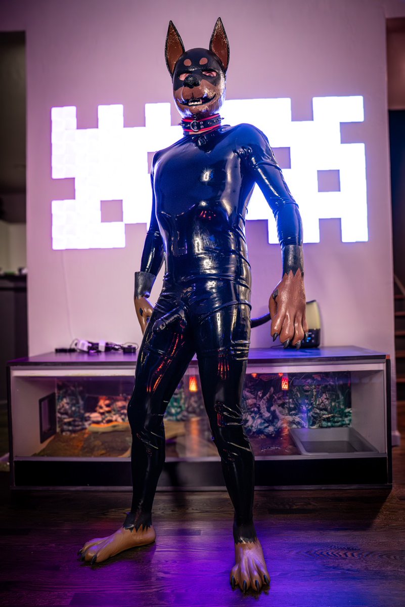 Bark! Dogging it up for #FursuitFriday
📸 <a href="/Pup_Leo/">Kory💜Miki💙Razz</a>