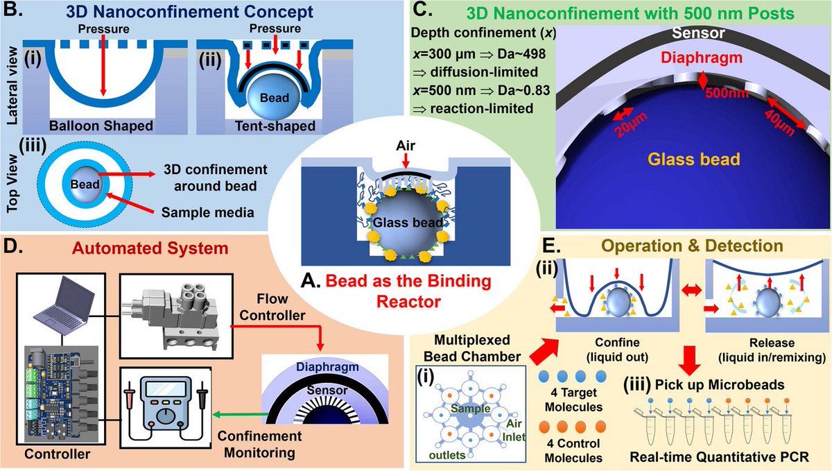 onlinelibrary.wiley.com/doi/10.1002/sm…
Chia-Fu Chou's new publication on "Binding Reactor", 3D nanoconfinement in a microfluidic device and enhanced receptor binding kinetics! Congratulations, Chia-Fu!!
