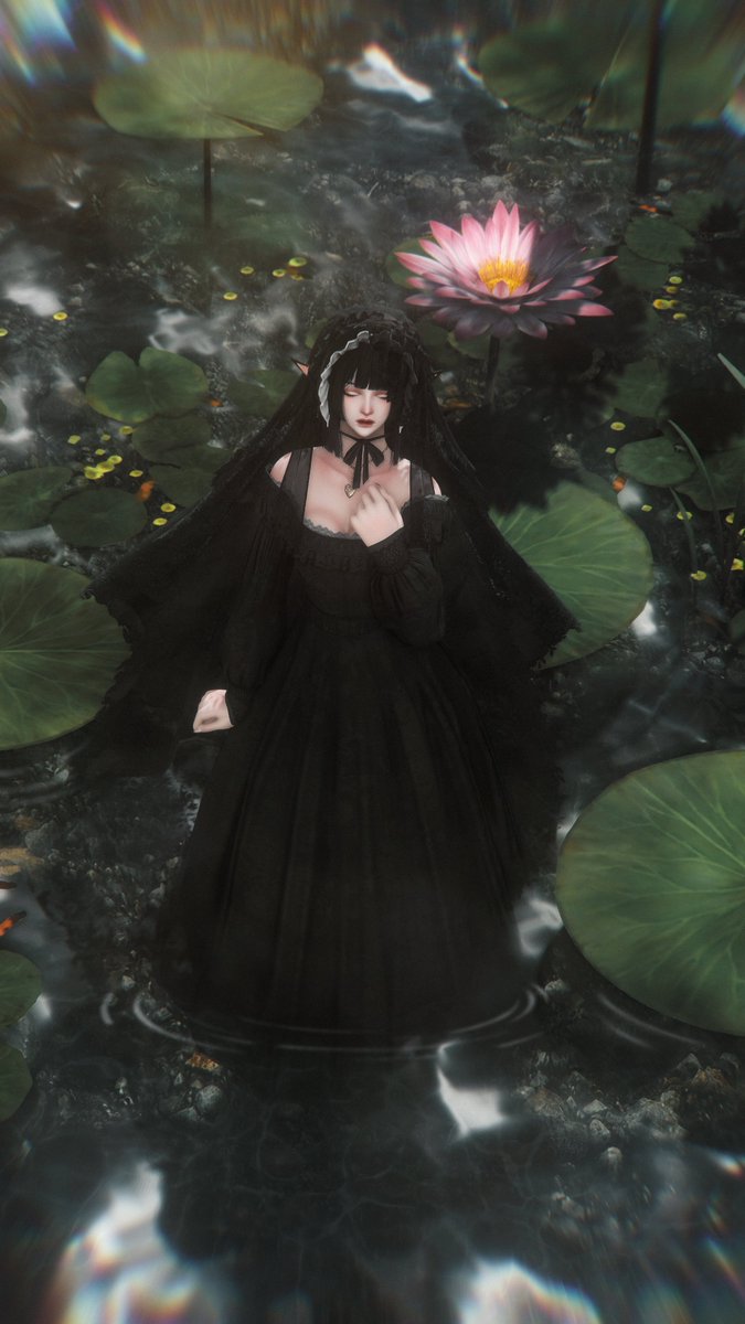 Birb 🐦‍⬛ (@birbvanilla) on Twitter photo 