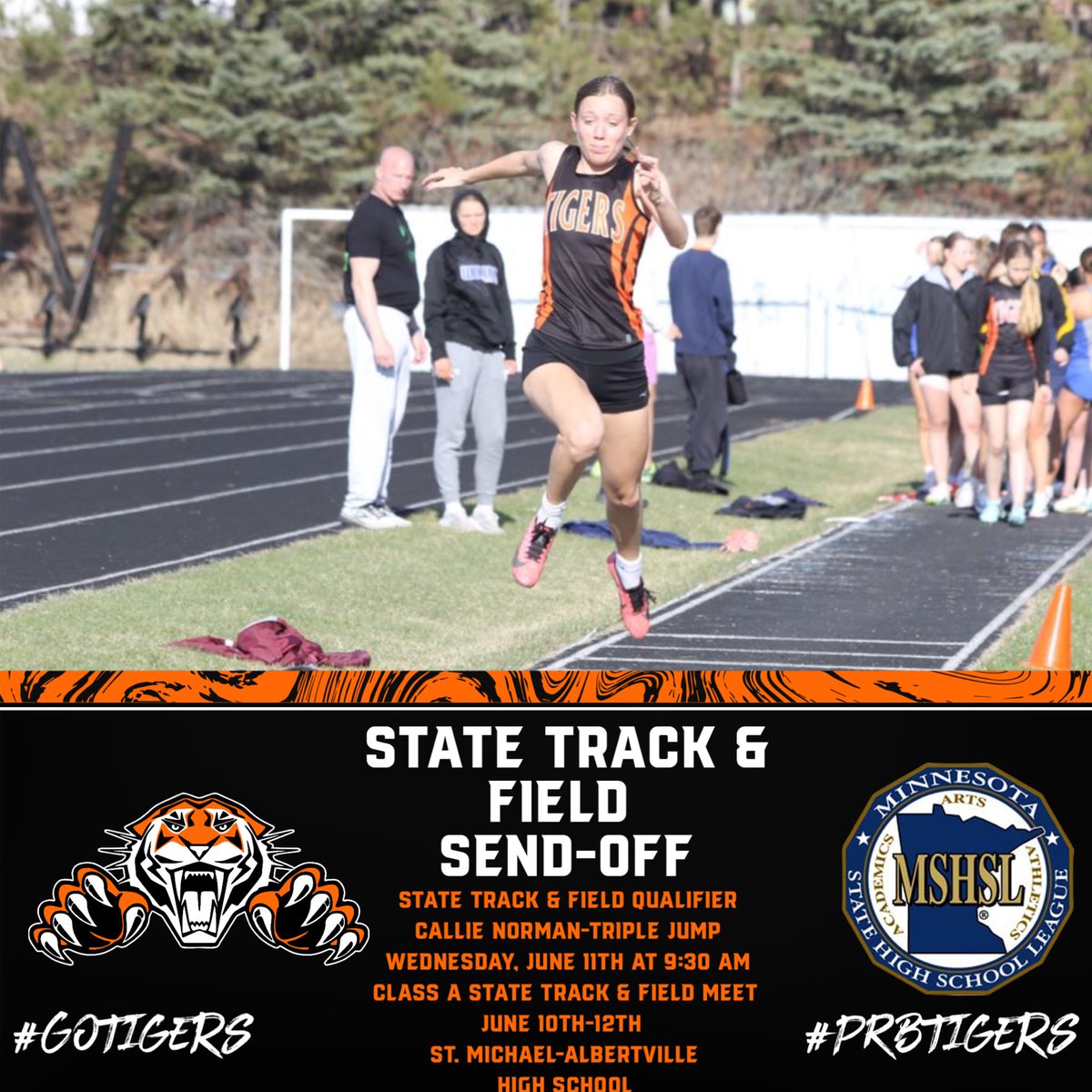 Pine River-Backus Tigers AD tweet media