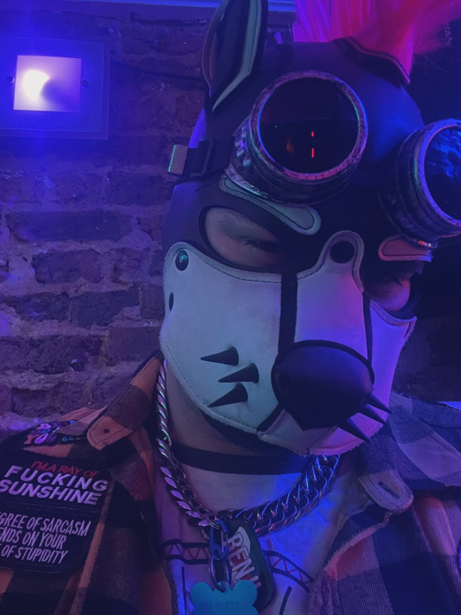 @Pup_Benji_ tweet media