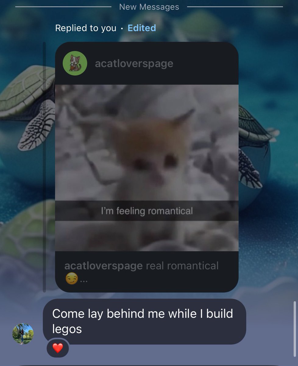 My girlfriend is better than yours