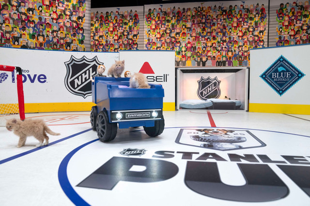 The Zamboni machine RC cooler stole the spotlight at the <a href="/NHL/">NHL</a> Stanley Pup. We’re proud to be part of this effort to help shelter pets find their forever homes

Catch the action (and the cooler!) tonight on <a href="/truTV/">truTV</a>  &amp; <a href="/Sportsnet/">Sportsnet</a>
Purchase your own RC cooler: c3customcoolers.com/product-page/b…