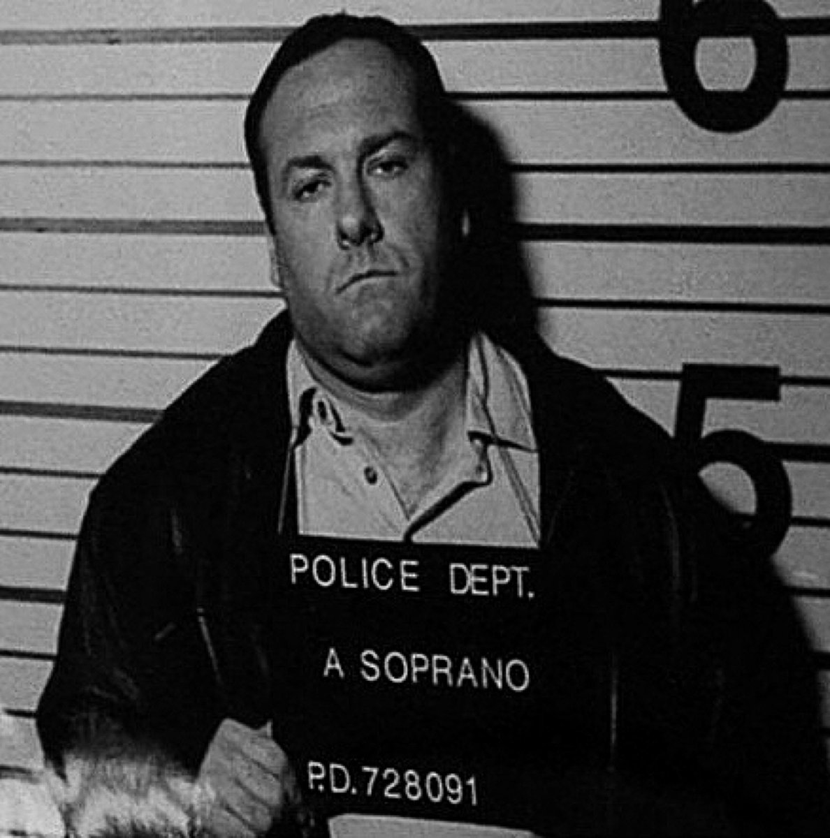 SopranosWorld's tweet photo. Me if it was illegal to end my night with a little ice cream https://t.co/oSEcnAHlfh