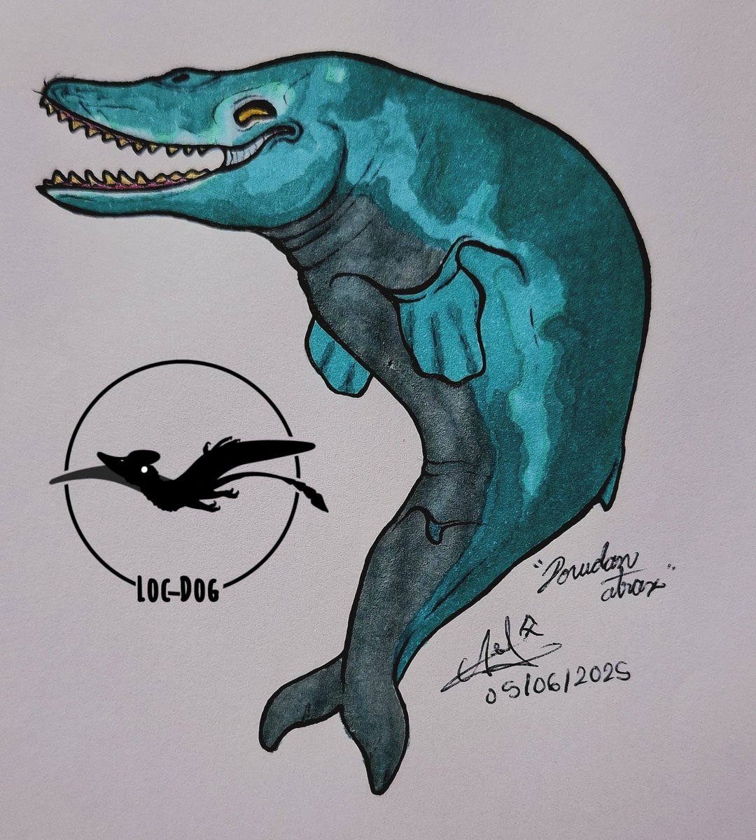 Dorudon atrox ("atroz diente de lanza"), un cetáceo primitivo de los mares cálidos del Eoceno, emparentado con los ancestros de las ballenas y delfines actuales ("neocetos").
Este dibujo me permite probar un estilo de dibujo bastante diferente al que suelo usar, espero les guste.