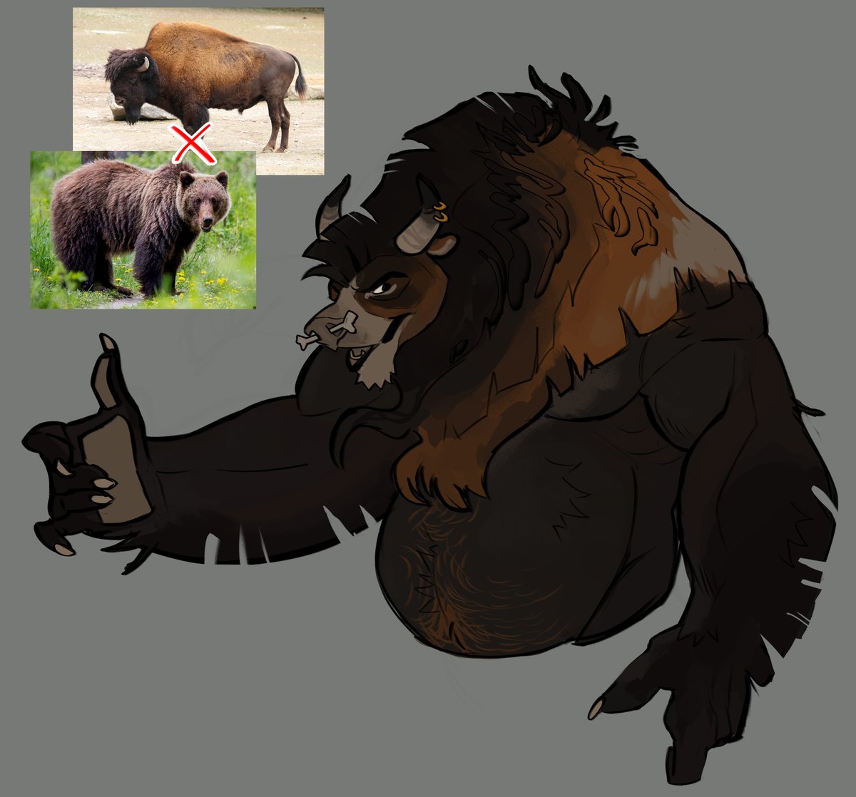 bear x bison idea