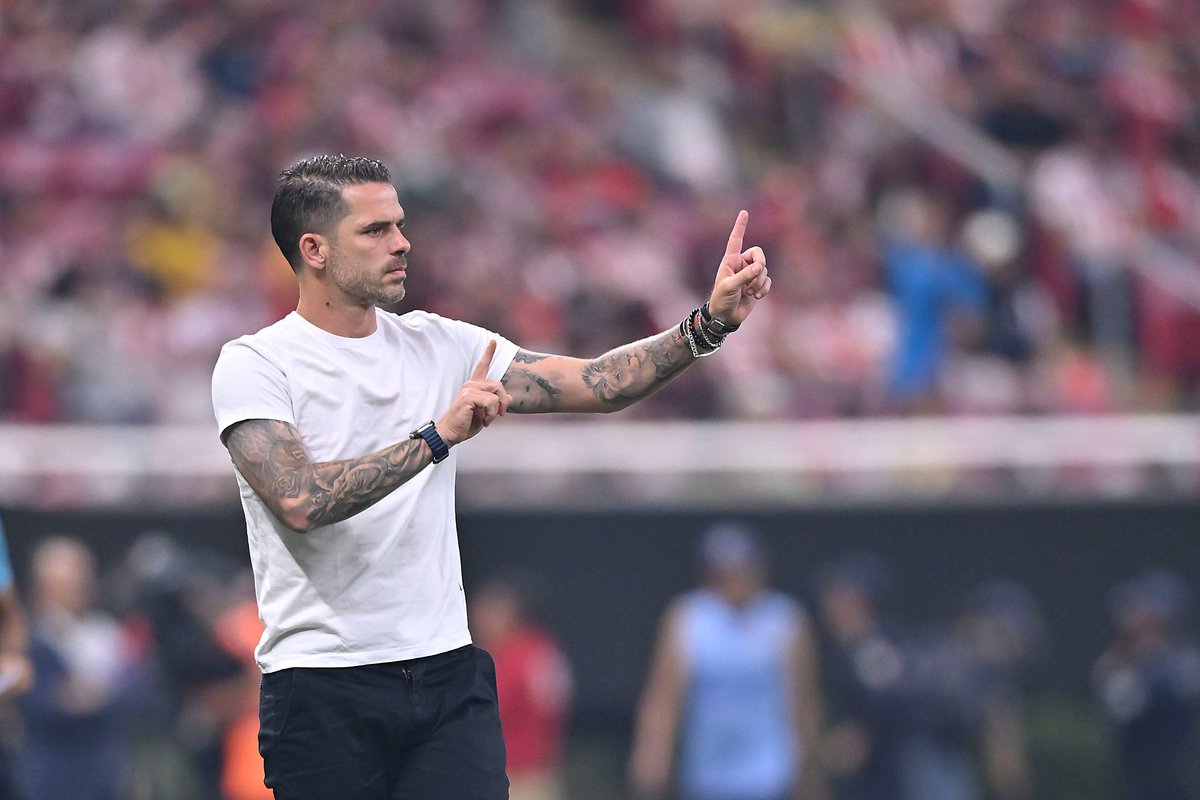 Raoul Ortiz 🐥 tweet media