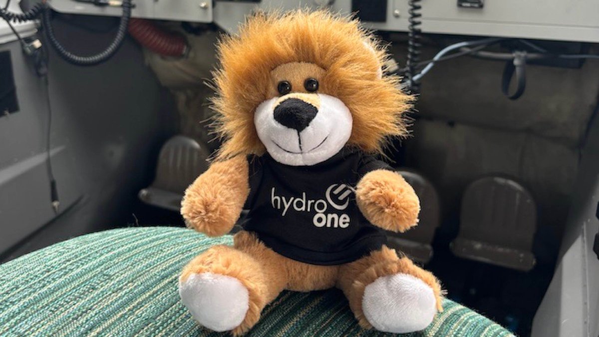 Hydro One tweet media