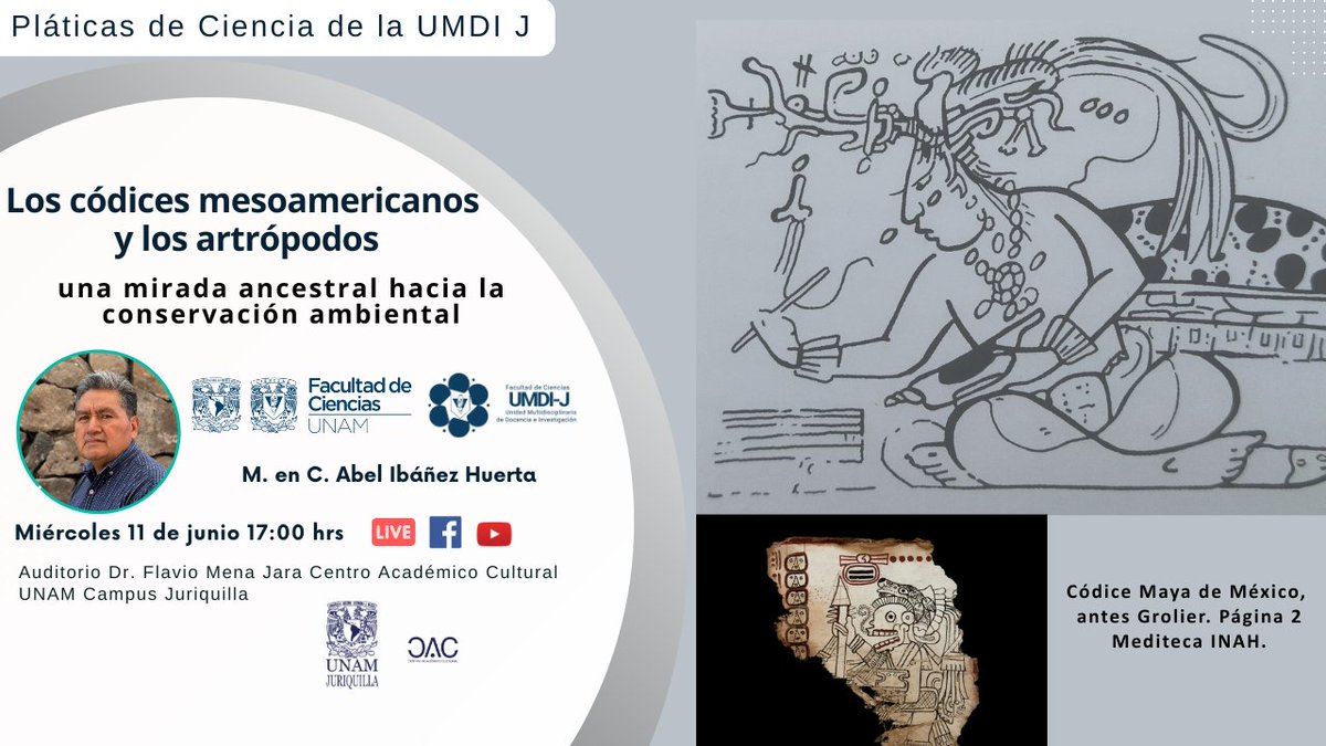 🟤No te pierdas la 5ª edición de 2025 de las Pláticas de Ciencia de la UMDI en línea.
🗓️Miércoles 11 de junio
⏰17:00hrs.

¡Sigue la transmisión y participa con preguntas y comentarios! 
FB LIVE: facebook.com/events/6551743…
YouTube: youtube.com/watch?v=Do6oDR…