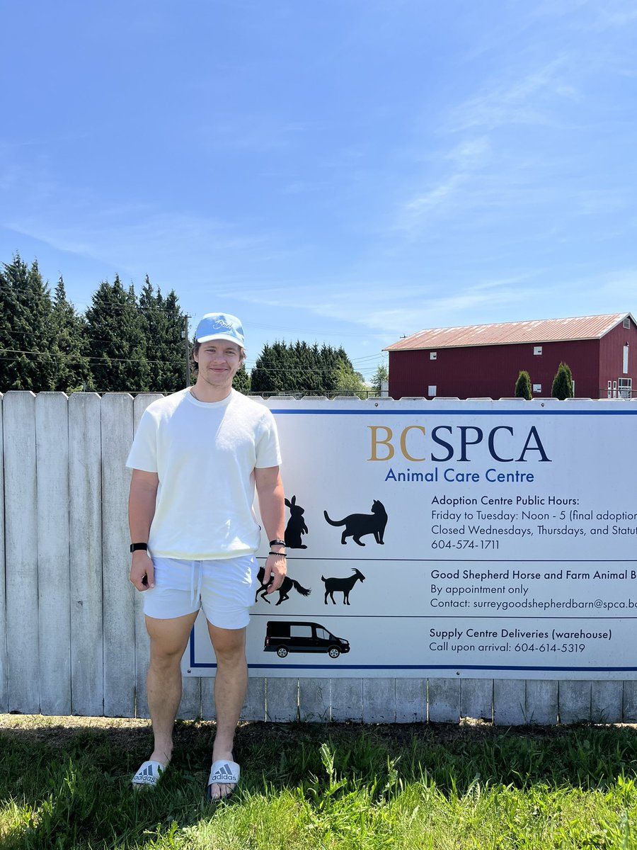 JacobSlipec's tweet image. Donate to the BC SPCA this summer 

spca.bc.ca/give-hope/?utm…