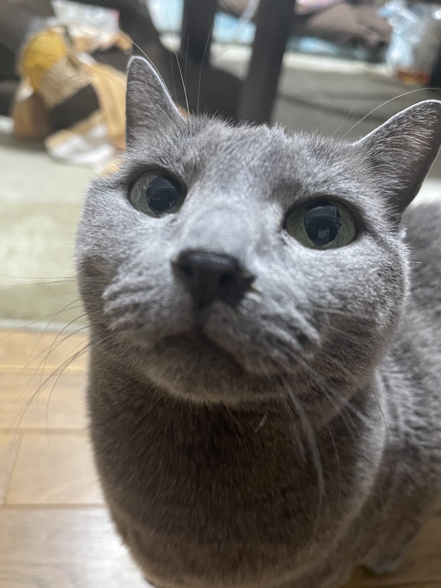 rinrin7481's tweet image. おはようございます😊😼😸
私の姉の話①
自分の推しを私に熱く語ります💦Tシャツもいっぱい持ってて着てくる😑部屋に呼ばれてここに座ってと言われビデオを見せられる、ほぼ強制的に🙀もういいですか⁉️と聞くと次がいい所と伸ばす
私は自分の部屋で韓ドラ観たい💦
でも…カッコ良さはわかる😅
本日も🙇‍♀️