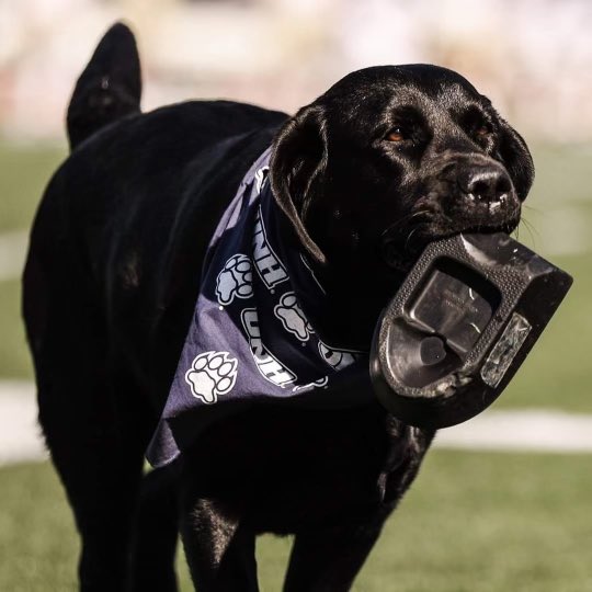 Happy birthday Jem! See you on the sidelines in the fall.  

#BuiltEachDay