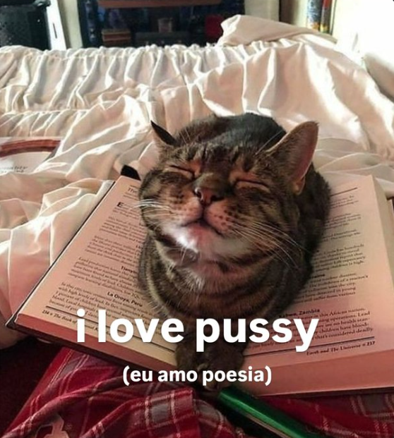 capivara - todo dia um meme ruim (@fuiproserasa) on Twitter photo 