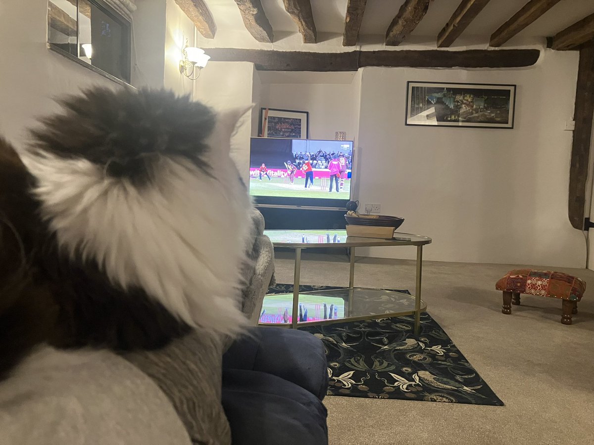 When your cat takes an interest in your interests… ❤️
#ENGvWI