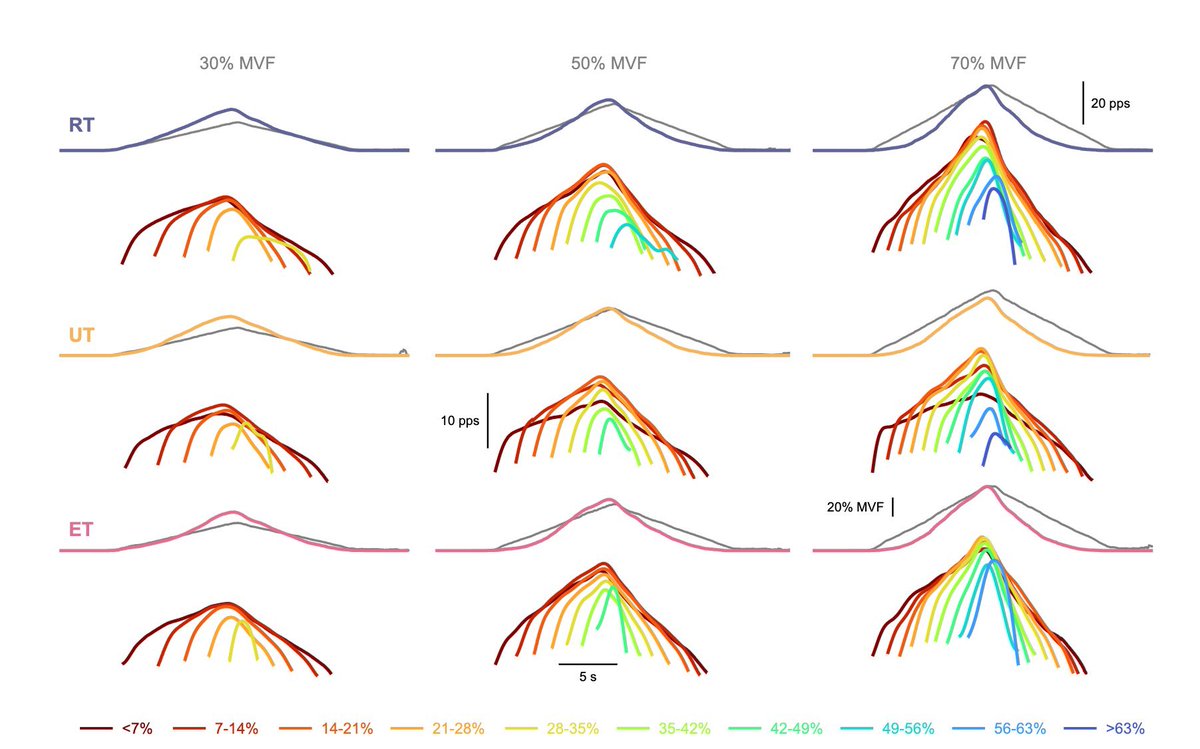 gregorypearcey's tweet image. Chronic resistance and endurance training alters the way in which motor unit discharge rates are modulated across contraction intensities, suggesting alterations in net excitatory synaptic input - another fun collaboration with @JSkarabot and colleagues.
biorxiv.org/content/10.110…