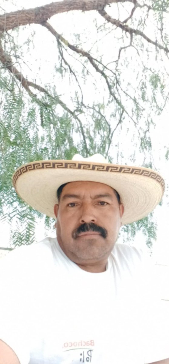 Saul tweet media