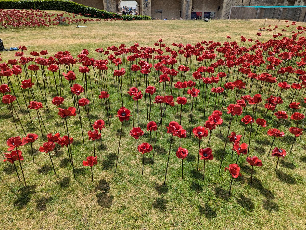 Oharvest33's tweet photo. Tower of London Museum 2025 https://t.co/61JlvxwJsi