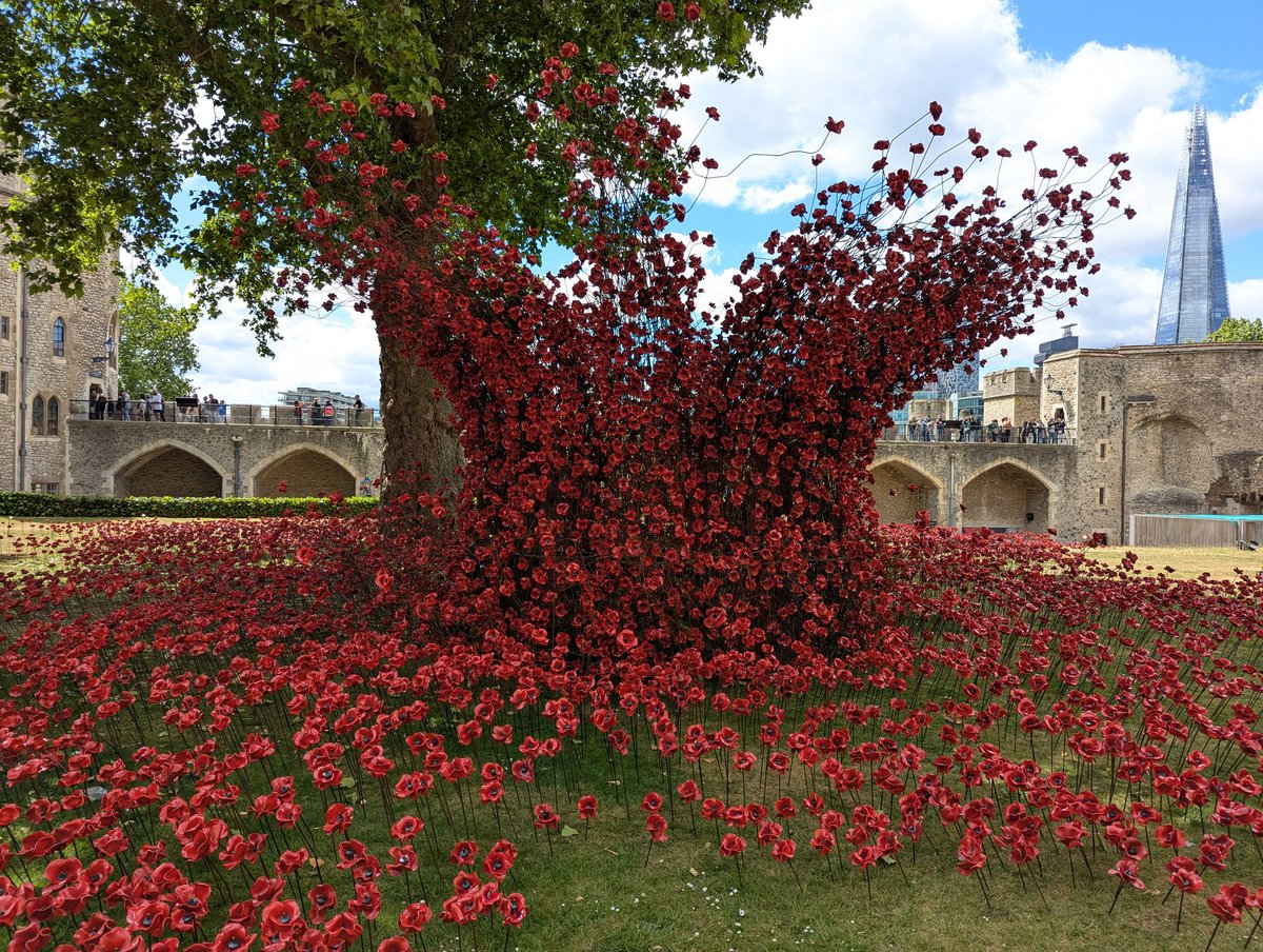 Oharvest33's tweet photo. Tower of London Museum 2025 https://t.co/61JlvxwJsi