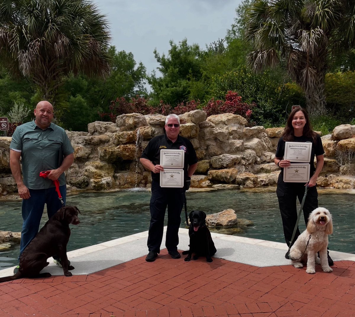 Three more of the puppies donated by my foundation to different first responder agencies here in south Florida have completed their therapy dog training and received their certification. Makes me proud to see them graduate and look forward to the huge difference they will