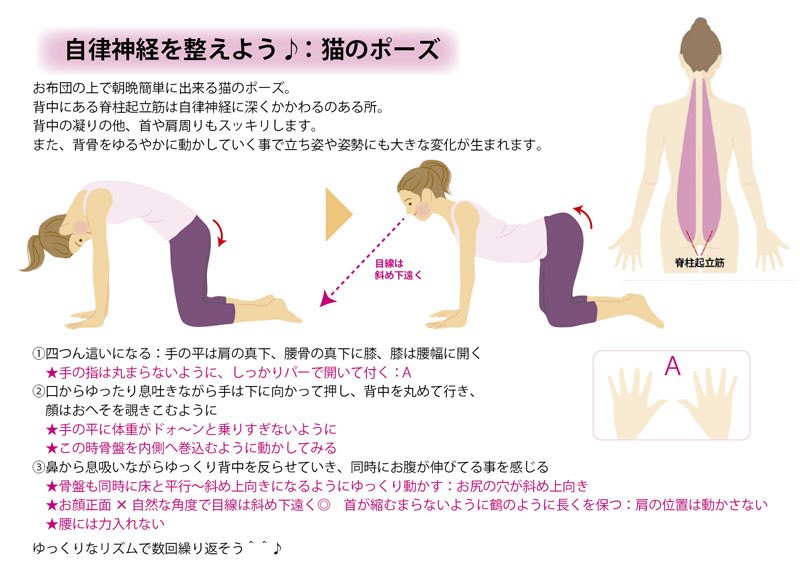 BodyorganizerK's tweet photo. 【身体を整える－四十肩】
おはようございます☁️
肩凝りや四十肩で苦しむ人が多し😅
四十肩：肩関節周囲炎と言います☝️
原因は様々、色んな事情の積み重ね
ここが痛いとちょっとした日常に差し支える：バンザイや着替えが困難
諦めず少しづつ動かして可動域取り戻す
まずは3分ストレッチからね😊 https://t.co/sR87uwFbL0