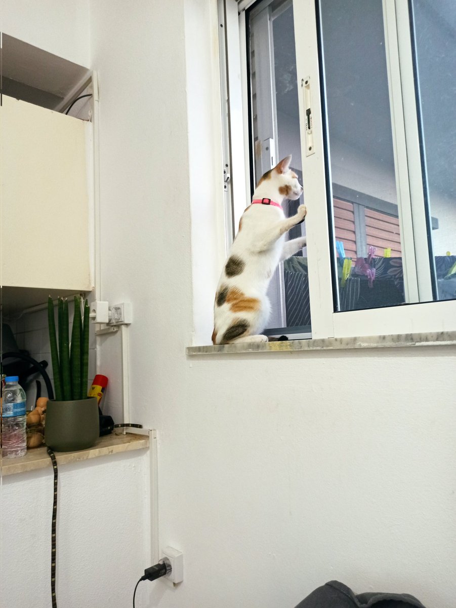 #Radar Yoda sinekliği yemiş !