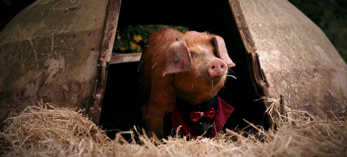 jmsaasta's tweet photo. The best thing about Series 4 of #ClarksonsFarm. 📺 #RichardHam 🐖 https://t.co/WENrdVYJci