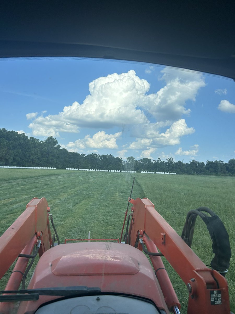 The smell of some fresh cut hay is a top 5 smell of all time. Summertime = Hay Season!