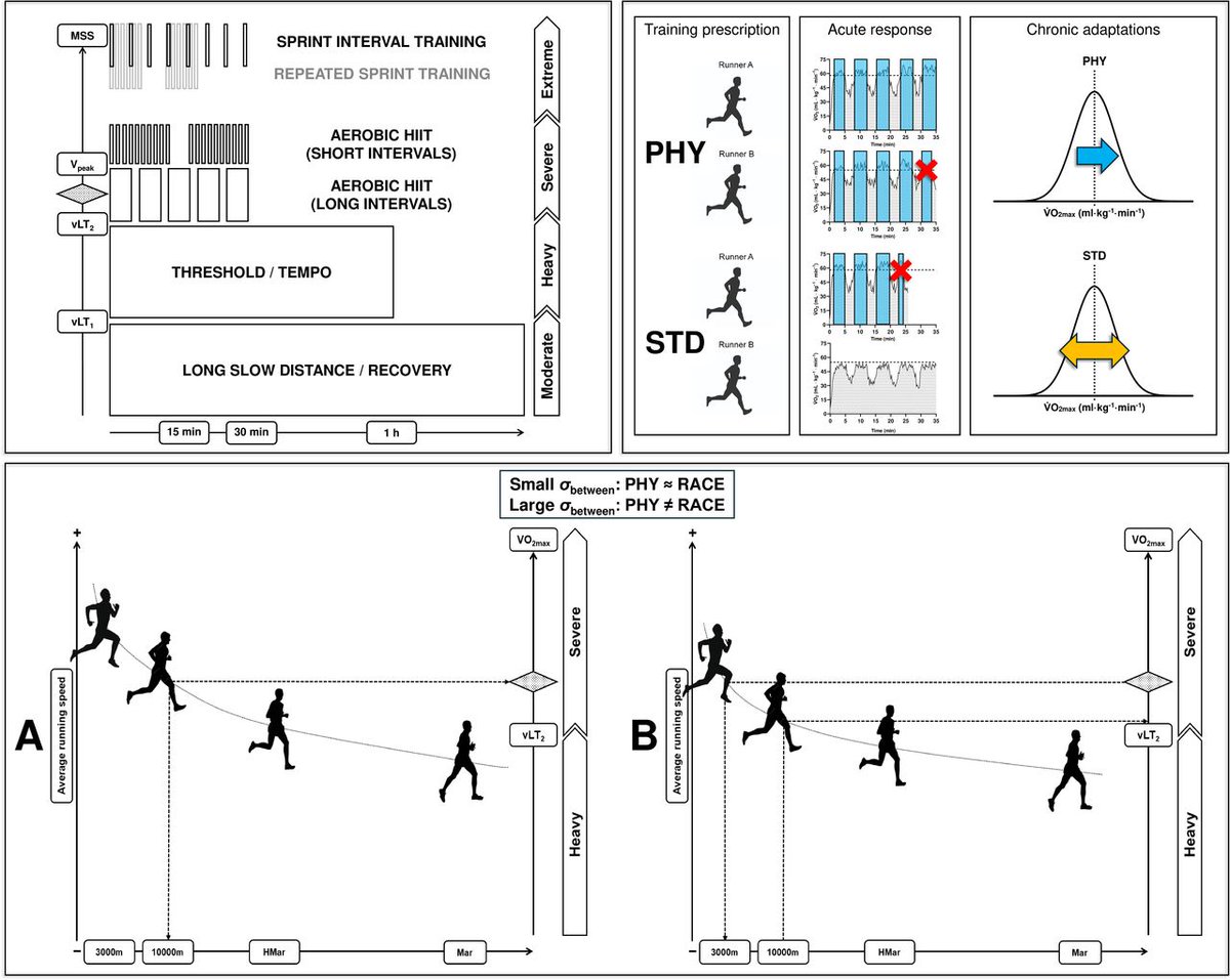 🚨 Effects of different aerobic high-intensity interval training prescription approaches on cardiorespiratory fitness and performance in distance runners 🏃‍♀️ ❤️

NEW #PhDAcademyAward 🏆

Read ➡️ bit.ly/3HnZ1Iu