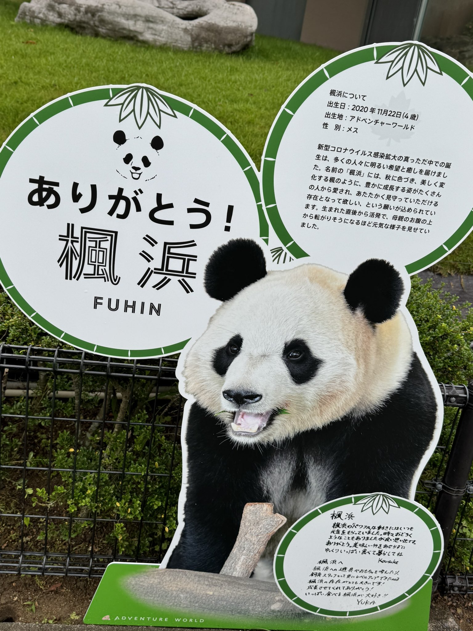 のろすけ on X: 