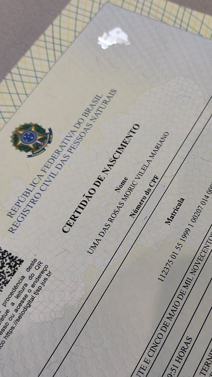 umitchas's tweet image. prazer, uma das rosas 🌹 🌟💛