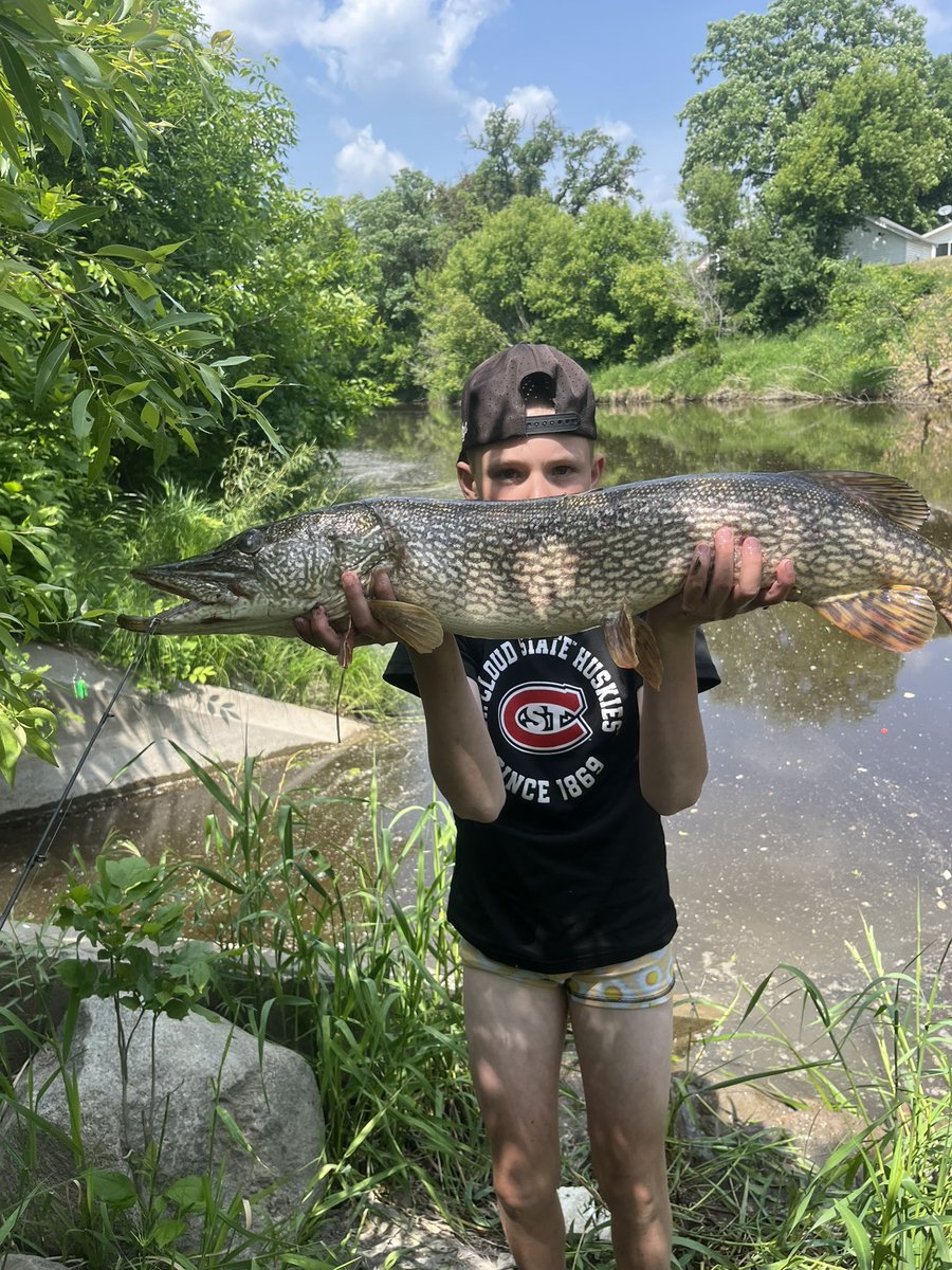 When you get a call from your boy and after you say hello and the first thing he say is “dad don’t be mad - I just fell in the river, but I caught a huge fish “ #roseauriver #pike <a href="/mndnr/">Minnesota DNR</a>