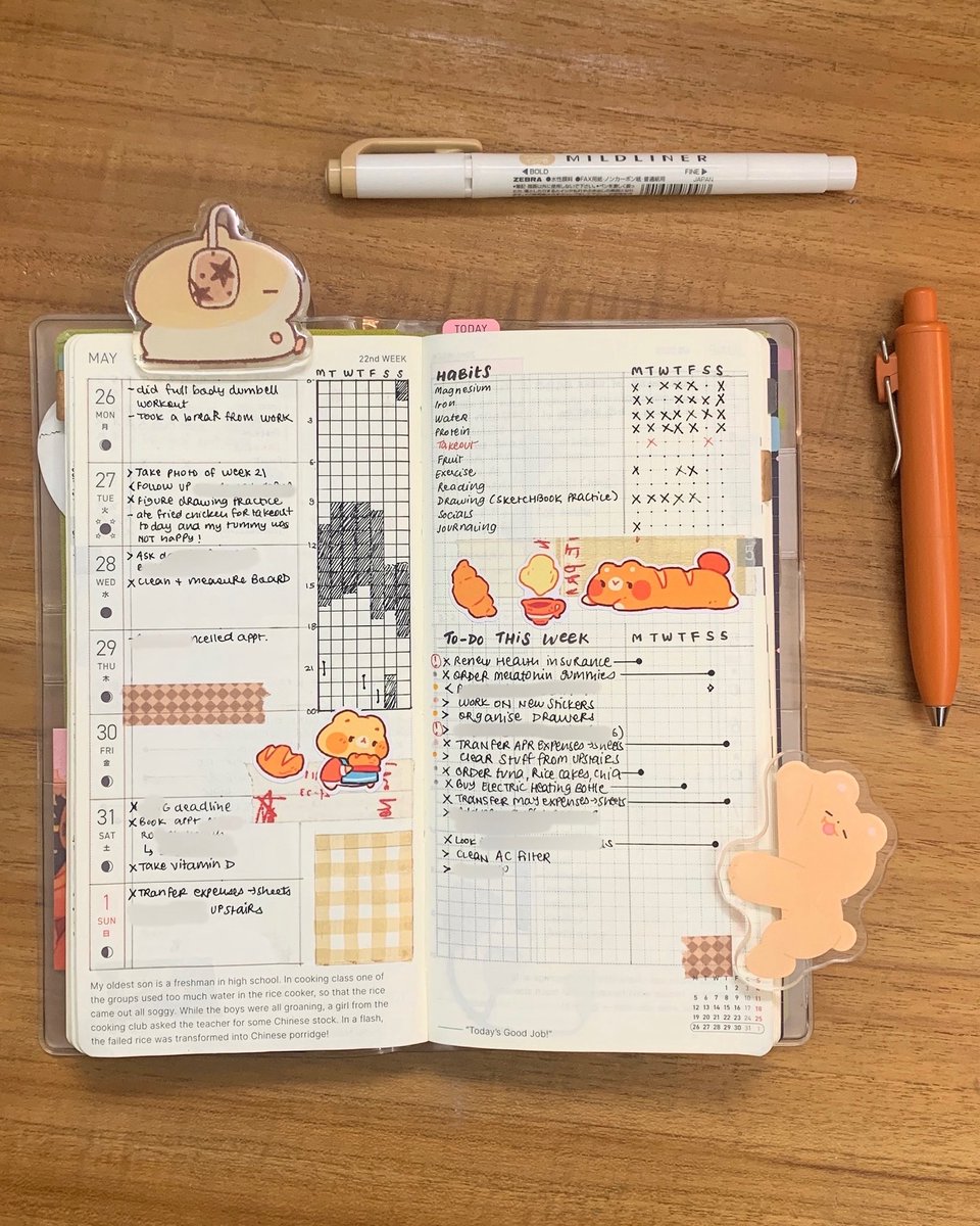 Week 22 in the Hobonichi Weeks