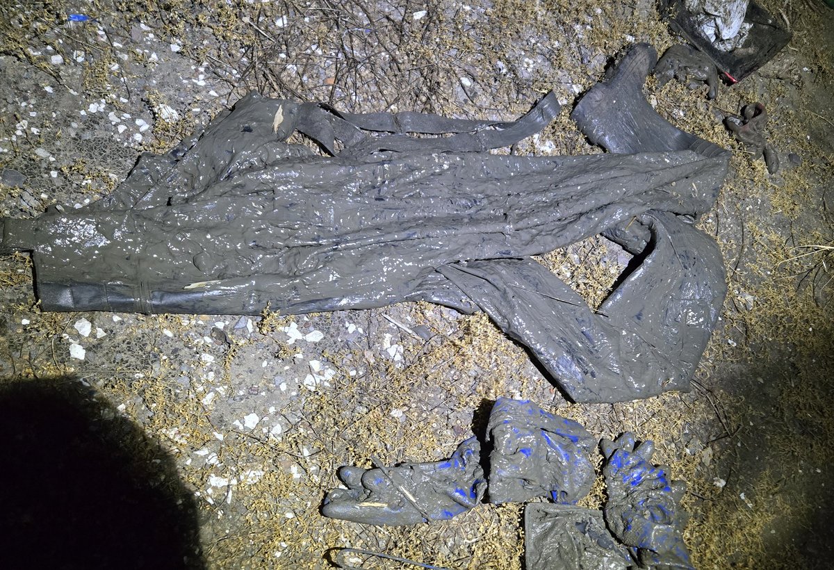 干潟に胴長で行ってはならない(戒め)
ガチで足持ってかれて脱出するのに20分くらいかかりました...