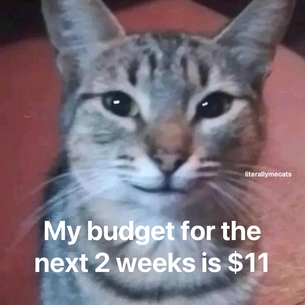 StarJellyPluto's tweet photo. Vet appointment today, please hit that link 🙏 

https://t.co/MLh02SwAQn

Priced are negotiable!! https://t.co/piTAg4YWUs