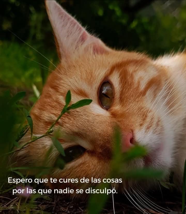 Mundo__Paisajes's tweet photo. https://t.co/2oCrl8LwSr